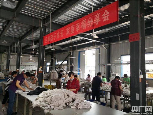 中央媒体聚焦临泉乡村振兴与纺织产业新貌